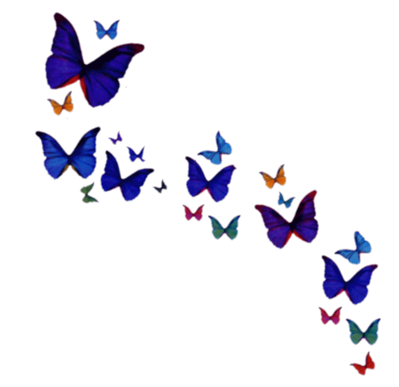 Красивые бабочки на прозрачном фоне