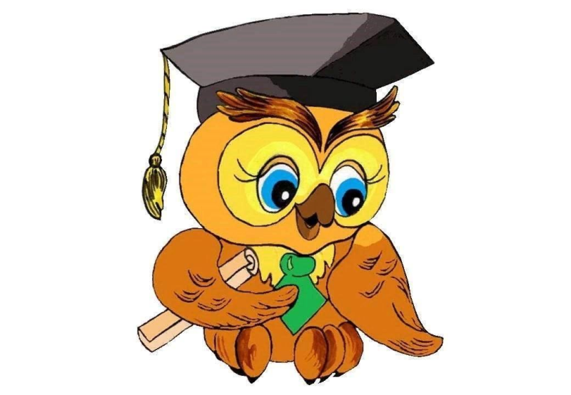 Сова на прозрачном фоне