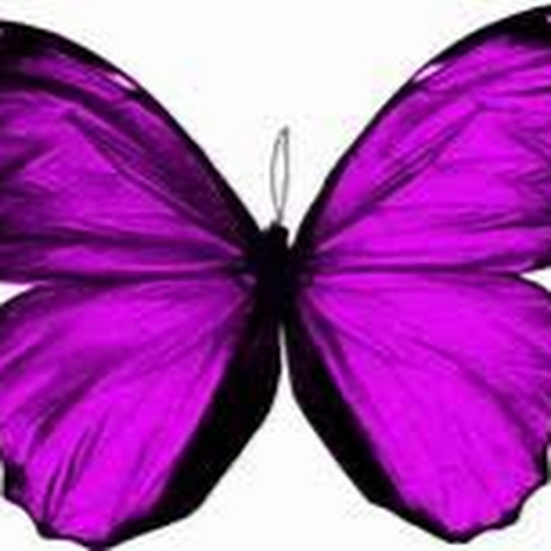 Красные бабочки на белом фоне