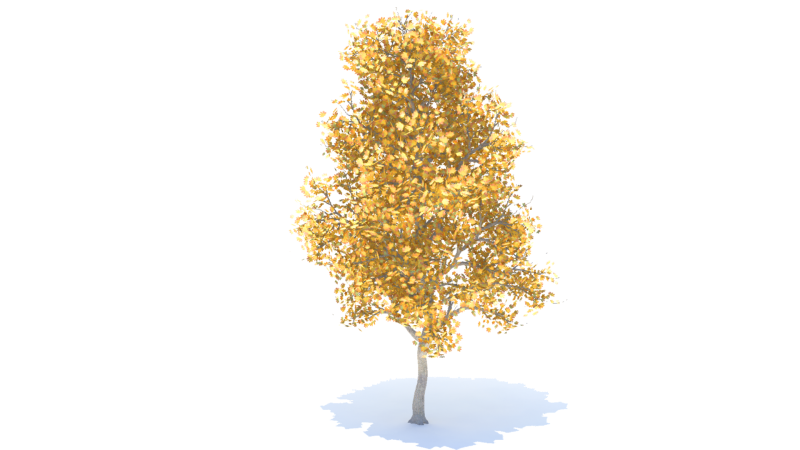 Осеннее дерево на прозрачном фоне