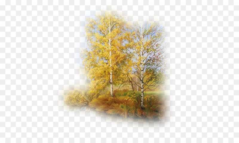 Осенняя береза на белом фоне