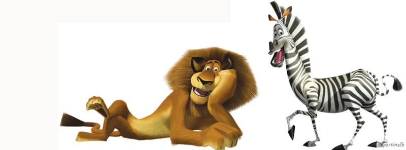 Зебра Мелман