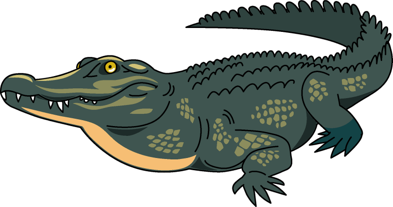 Крокодил на белом фоне
