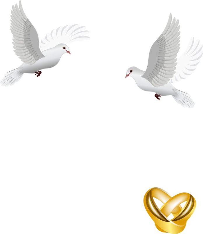 Голуби на свадьбу