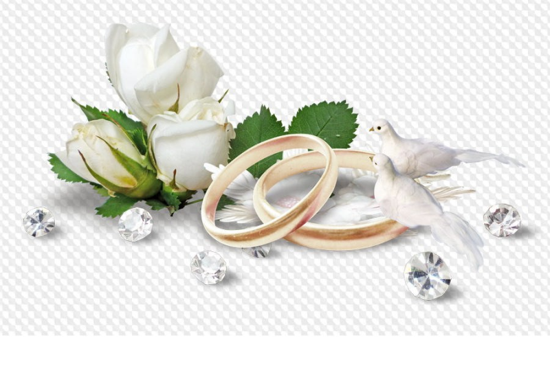 Свадебные голуби