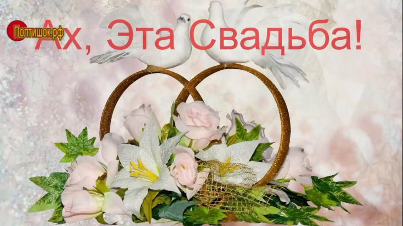 Свадебные голуби