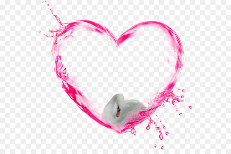 Сердце прозрачное