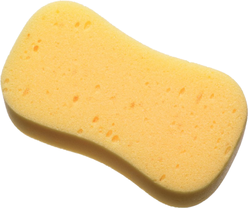 Губка без фона