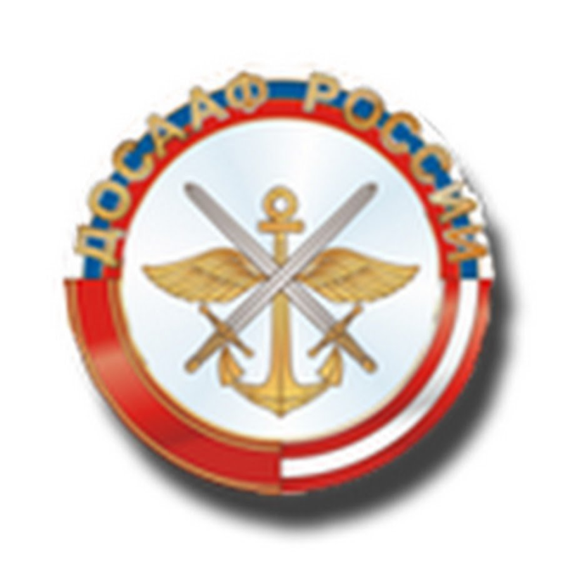 Логотип автошколы ДОСААФ