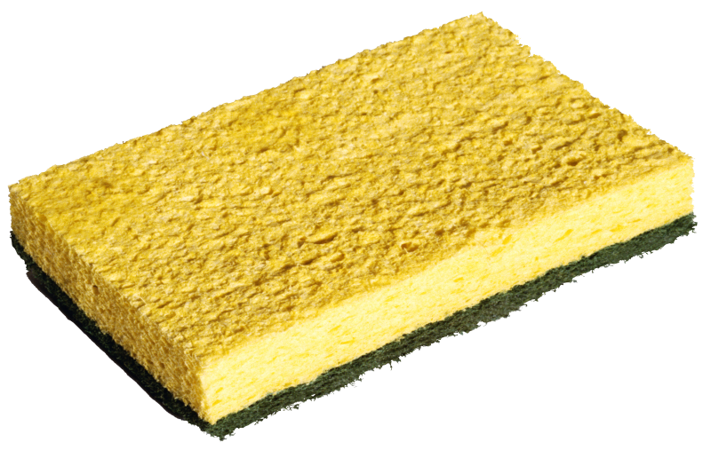 Желтая губка