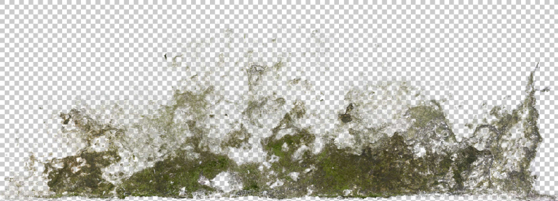 Плесень на прозрачном фоне