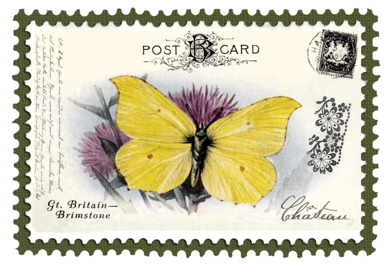 Красивая марка на конверт