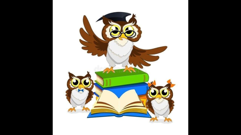 Мудрая Сова