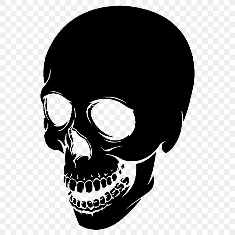 Череп на белом фоне