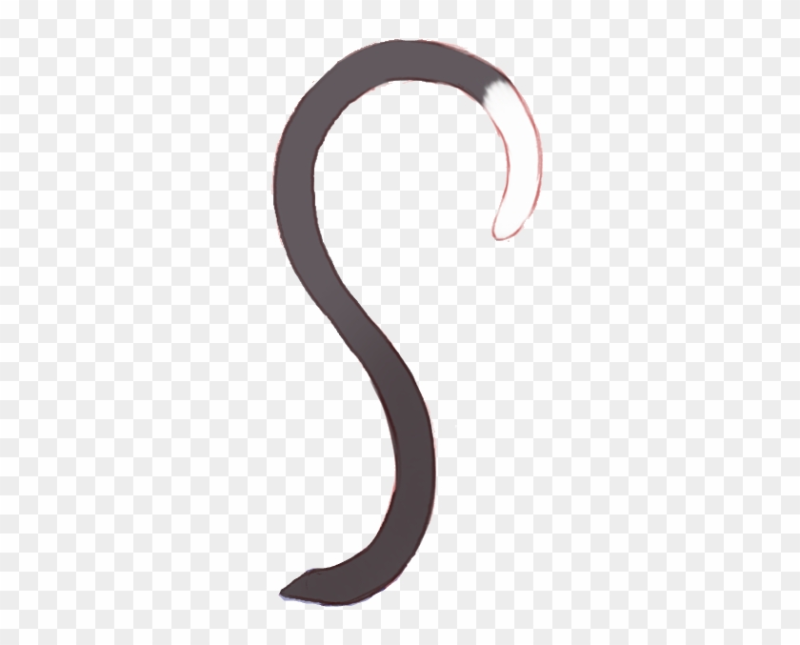 Кот с хвостом