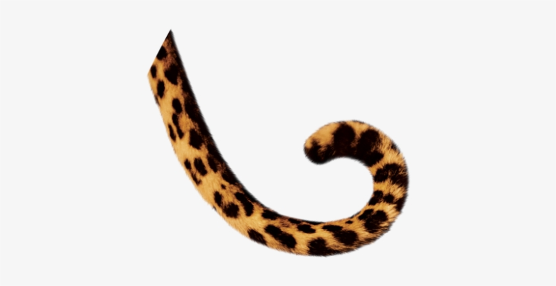 Тигриный хвост