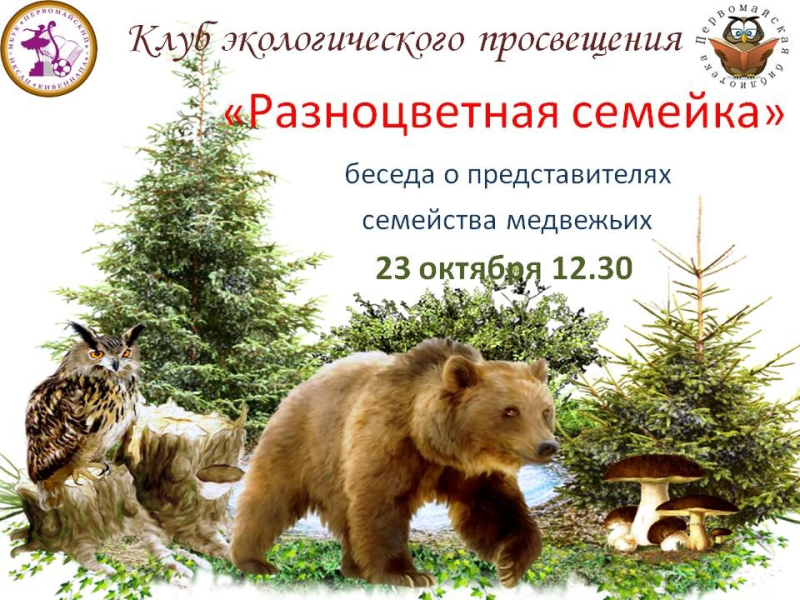 Медведь лес на белом фоне