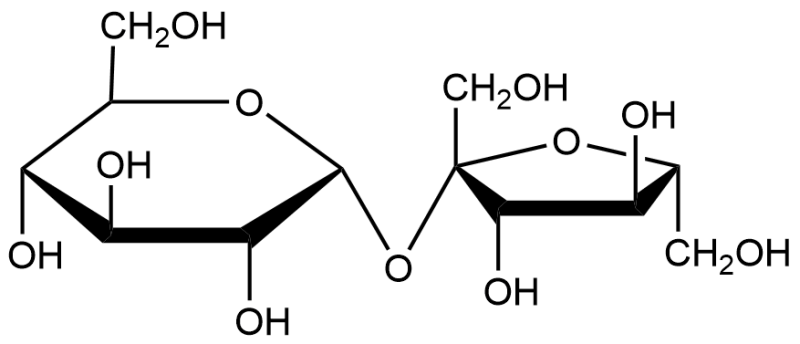 Модель сахарозы Геншин Импакт