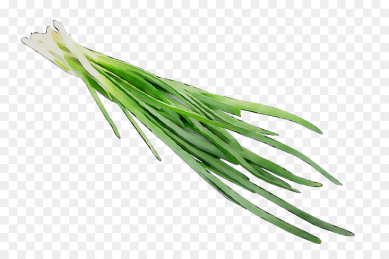 Гарлик Грасс лук