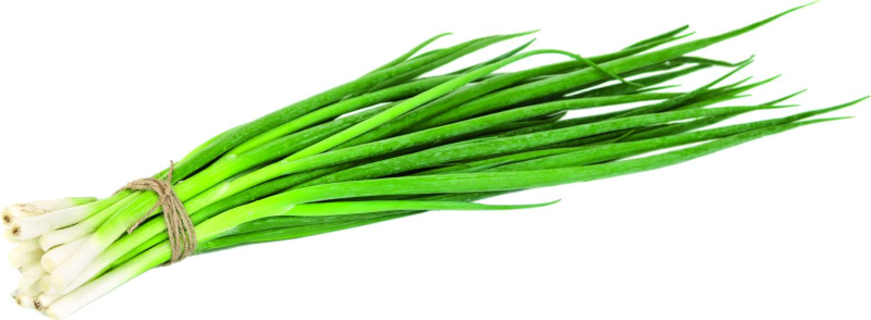 Лук св. зеленый 100г
