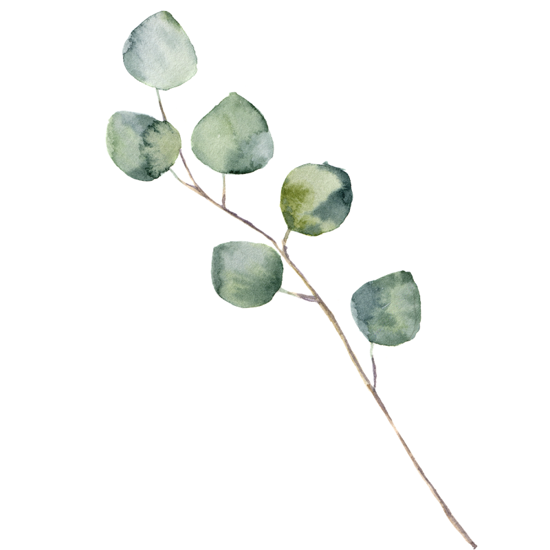 Эвкалипт паттерн