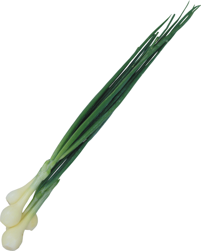 Лук зеленый