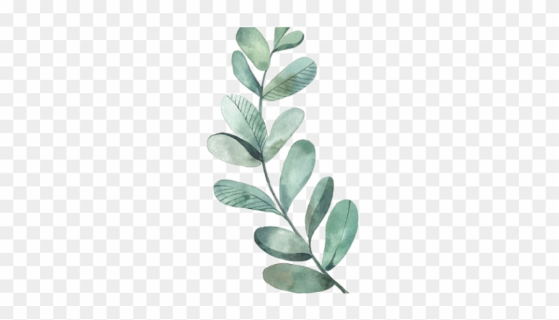 Акварельные листья на белом фоне