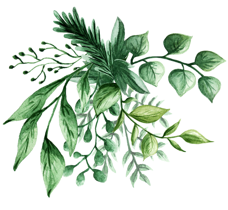 Зеленые растения акварелью