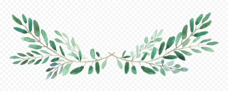 Веточка с листьями