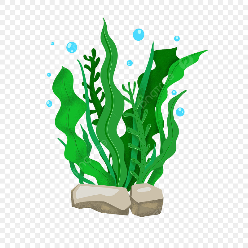 Морские водоросли вектор