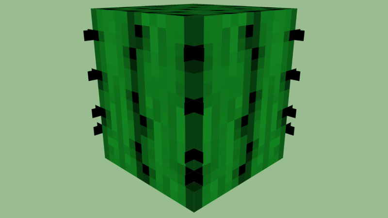 Блок кактуса в МАЙНКРАФТЕ