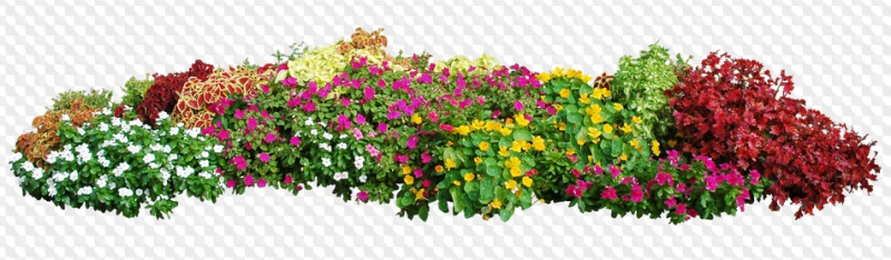 Клумба вид сверху