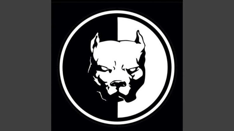 Эрик Давидыч питбуль