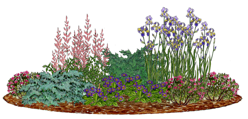 Клумба с цветами