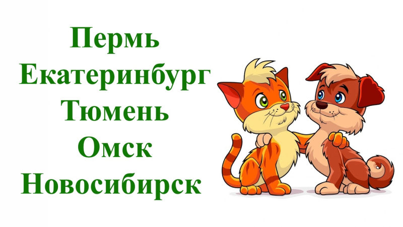 Мультяшные котики и собачки