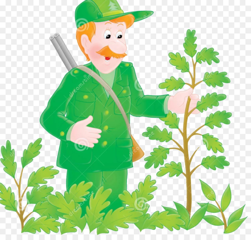 Лесничий картинки для детей