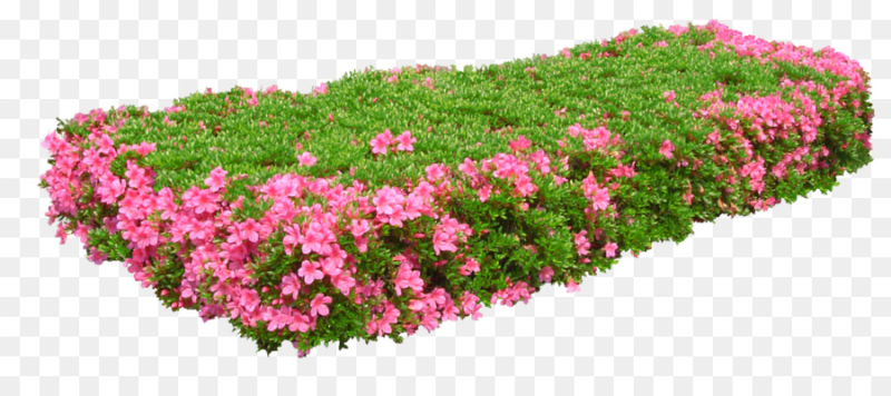 Клумба вид сверху