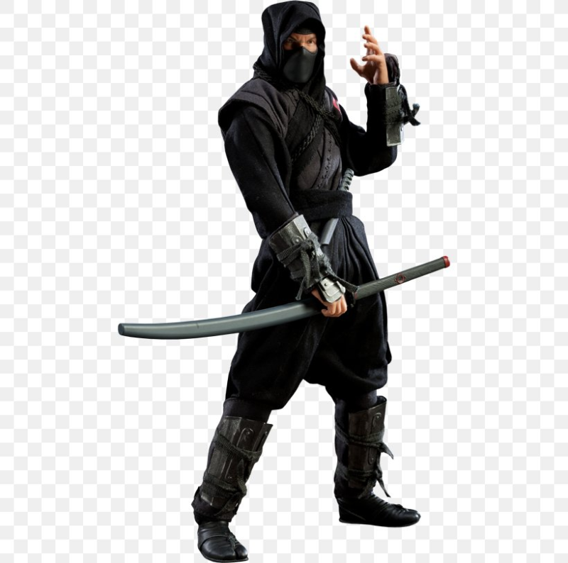 Китайский ниндзя