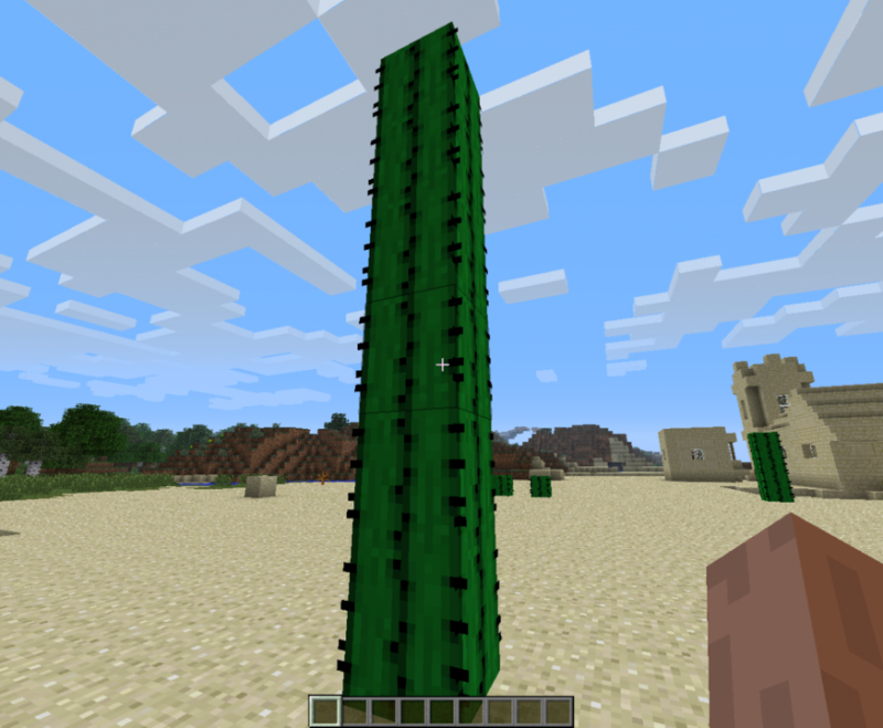 Пустыня в МАЙНКРАФТЕ С кактусом
