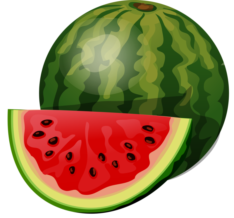 Арбуз на белом фоне