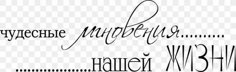 Красивые фразы на белом фоне