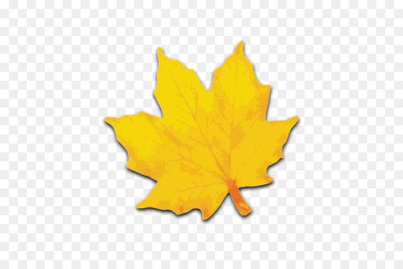 Осенний листок