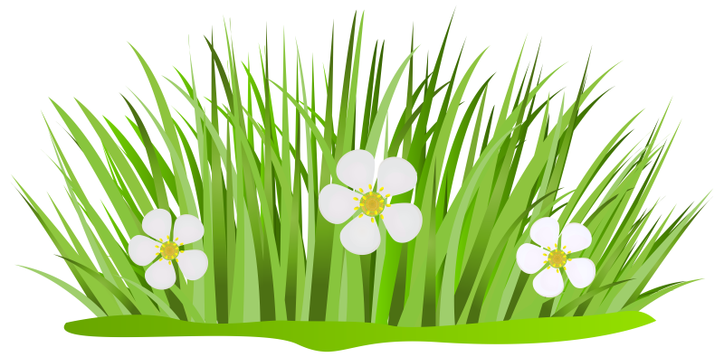 Травинки на прозрачном фоне