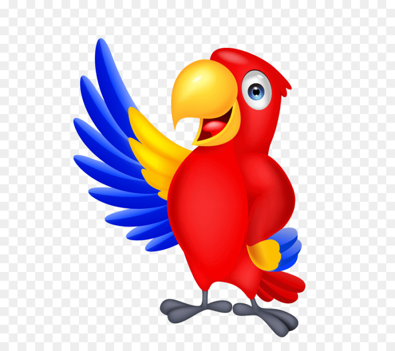Попугай мультяшный