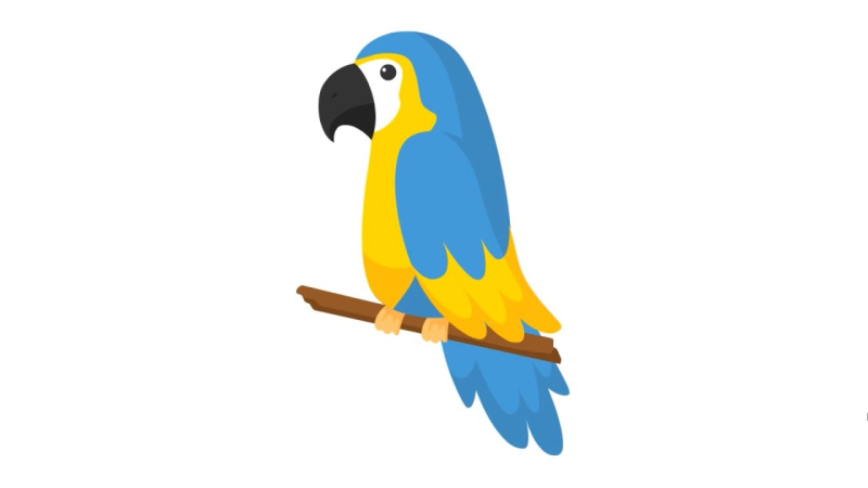 Попугай без фона