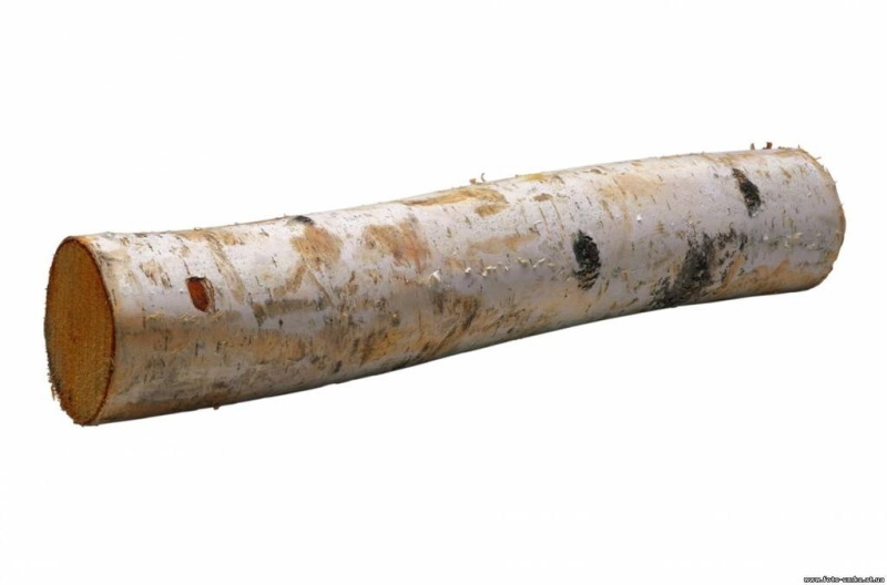 Березовые бревна