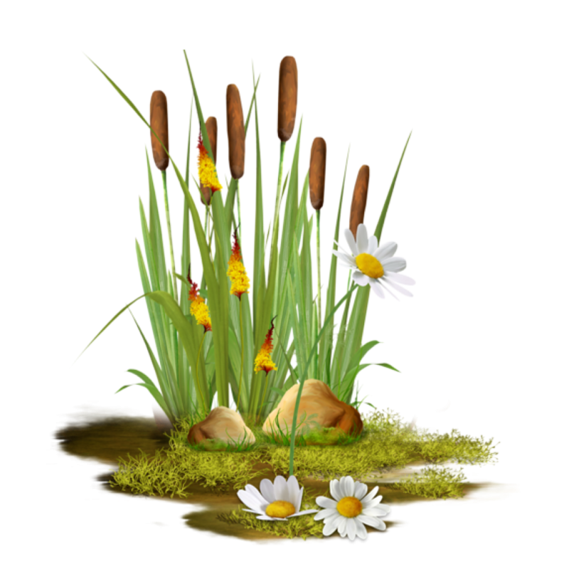 Камыши мультяшные