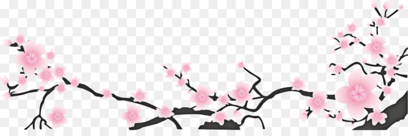 Японские цветы без фона