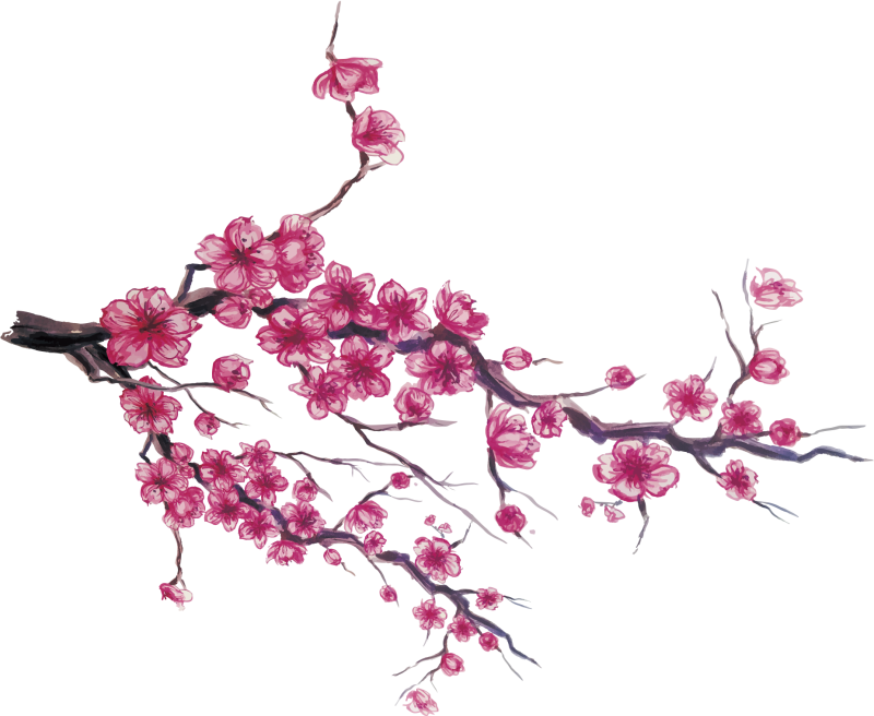 Черри блоссом Gyu