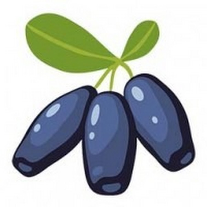 Жимолость вектор